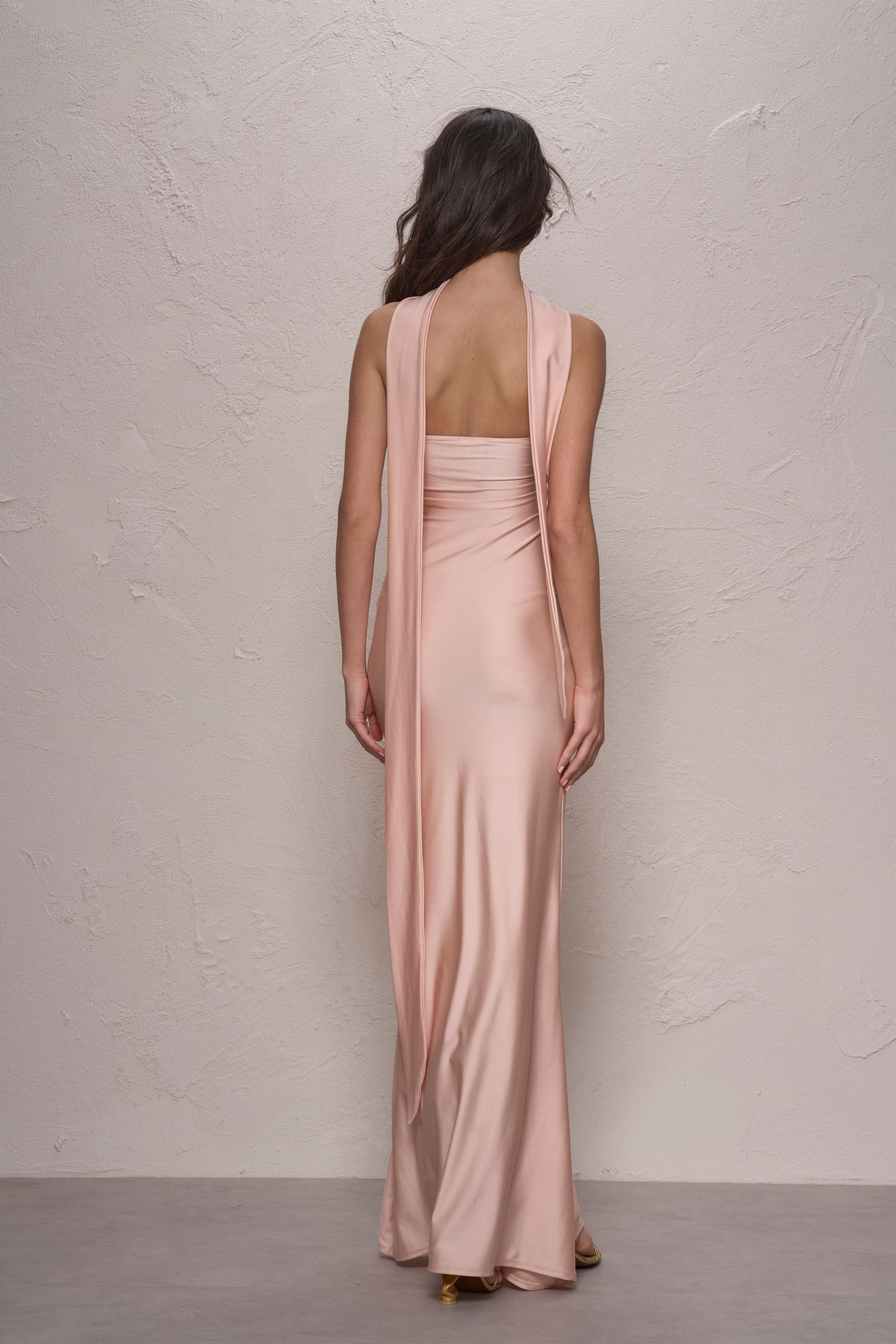 Shani Shemer Rose Maxi Dress in Pink